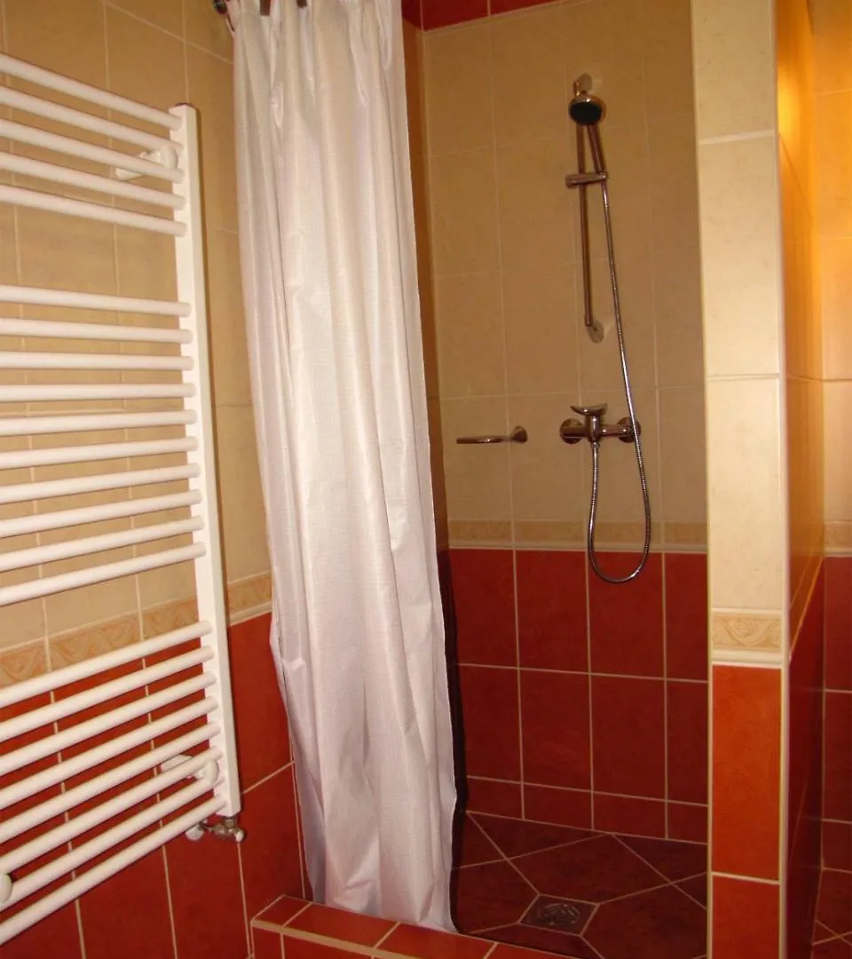 Szegfu Apartman Villa Hajduszoboszlo Holiday home